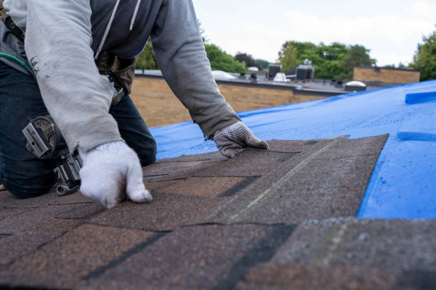 Best Roof Insulation Installation  in Bessemer City, NC